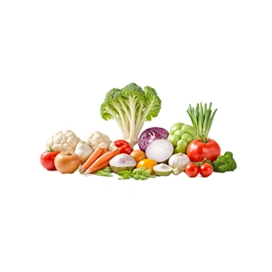 FRESH-VEGETABLES