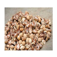 KATI SUPARI 100G