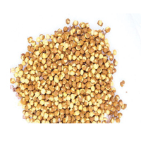 MASALA SADA CHANA 100GM