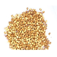 LEMON PUDINA CHANA 100GM