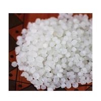 NAYLON SABUDANA 500G