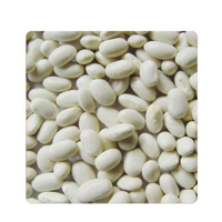 RAJMA WHITE 500GM