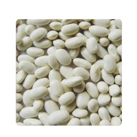 RAJMA WHITE 500G