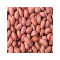 PHALI DANA PREMIUM LOOSE 1KG