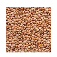 KHADI MASOOR PREMIUM 1KG