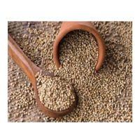 KHADA BAJRA 500GM