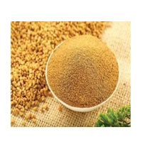 METHI POWDER 100G