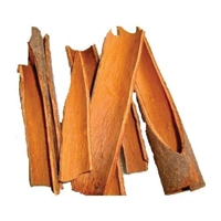 DALCHINI SPECIAL 20G