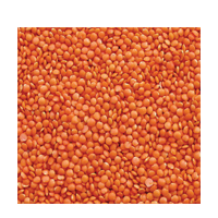 MALKA MASOOR 500GM