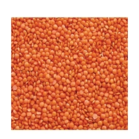 MALKA MASOOR 500G