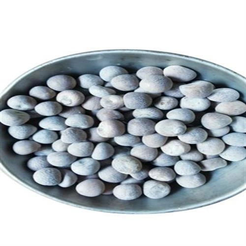 SIKI GOLA 100G