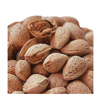KAGJI BADAM 100GM