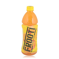 FROOTI BOTTLE 600ML