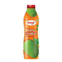 GURUJI KERY PUDINA 750ML