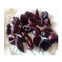 KOKUM 50GM