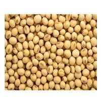SOYABEAN PACKET 500GM