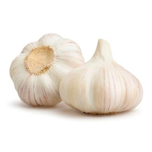 FRESH GARLIC 200 GM